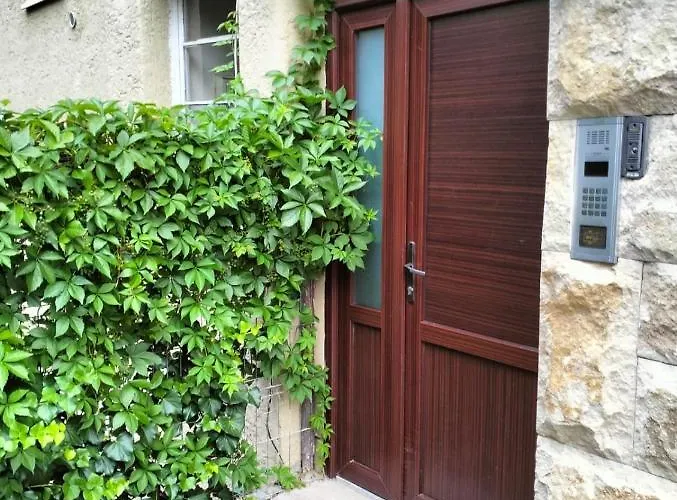 Crisan City-center Apartman *